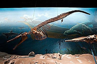 《零：月蚀的假面》全新截图 美少女们登场亮相