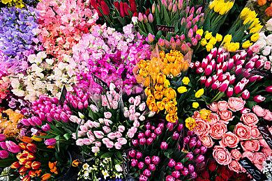 《分裂之门2》开发商1047工作室已解雇一小部分员工