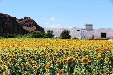 《龙腾世纪：影障守护者》创建环节要照顾有色人种